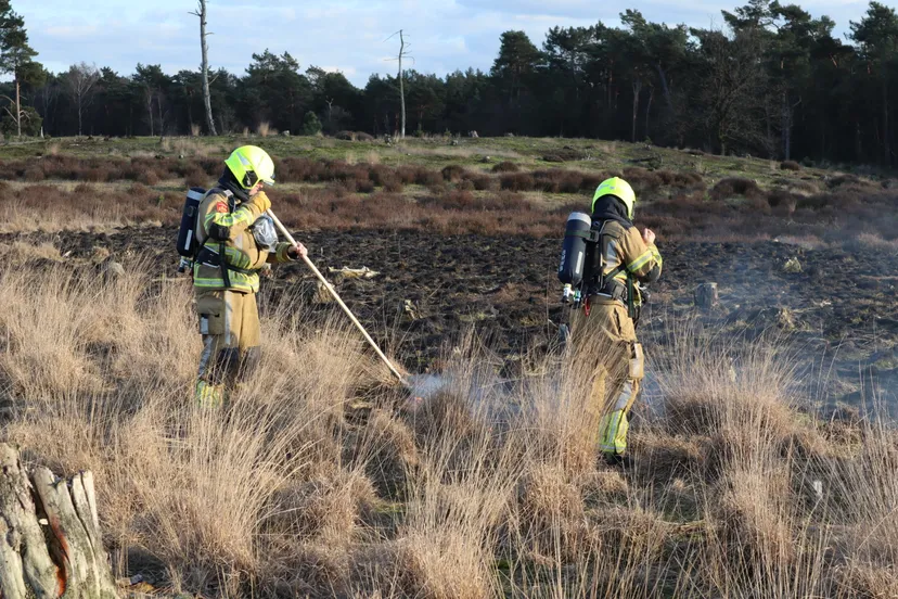 20230227175853 img 2778