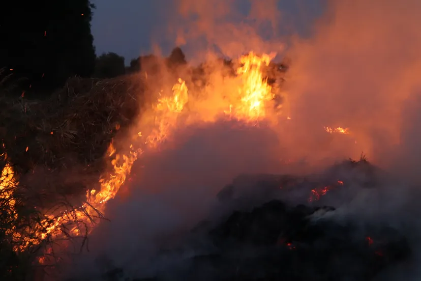 20230607222851 img 7934