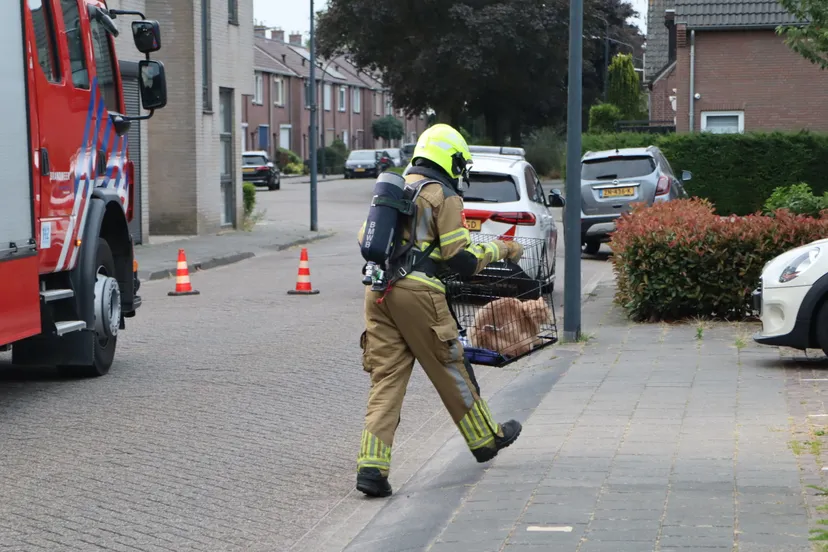 20230620061859 img 8822