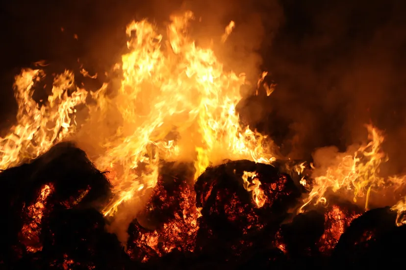 20230710231746 img 0455