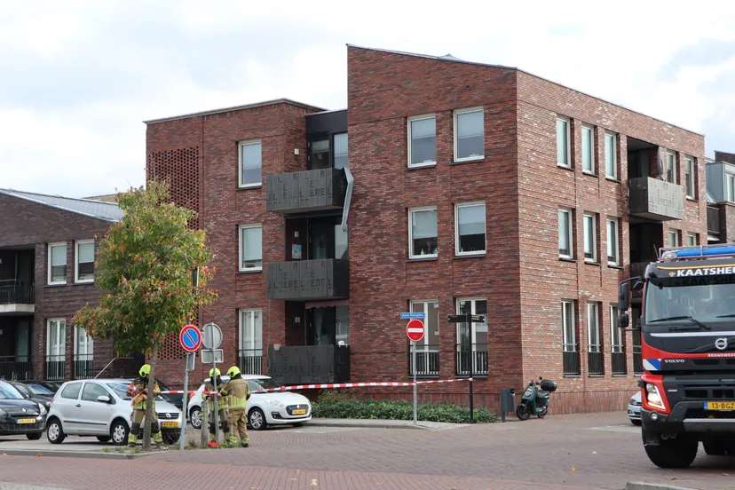 20231102111416 img 6886