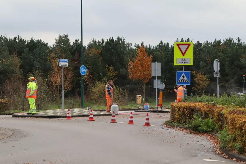 20231123102617 img 8072