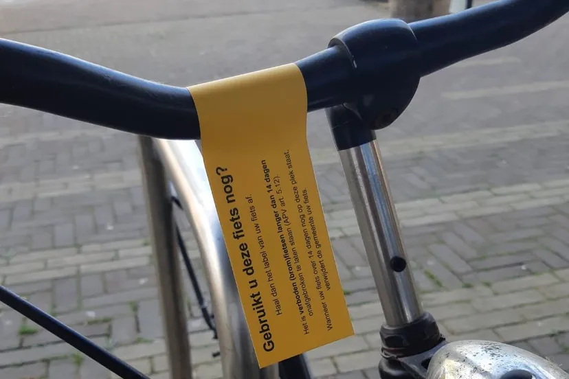 206227412 137332961828785 5310117987709813752 n