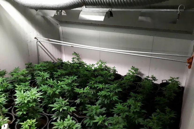 23843301 1901635996819275 298309681181594114 n