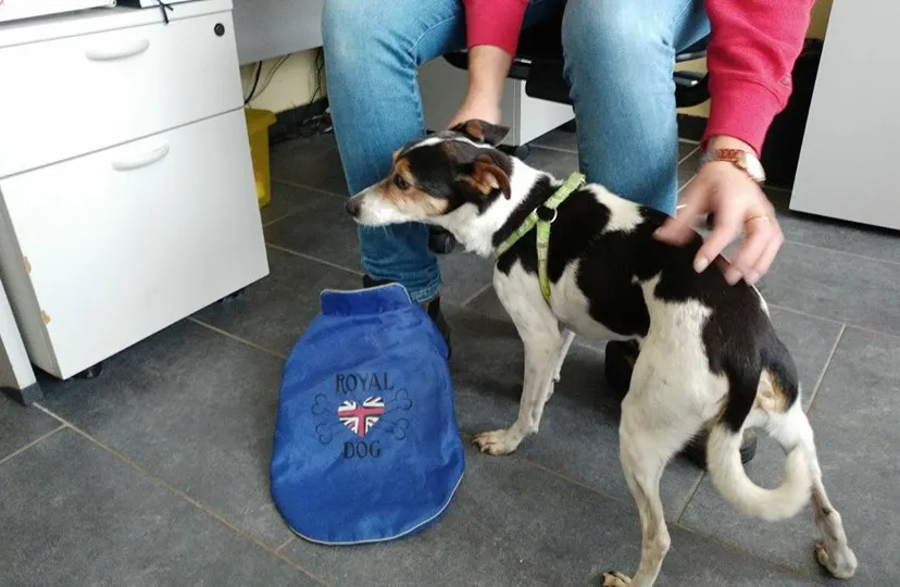 24177103 1959073281012174 1466699432250675541 n