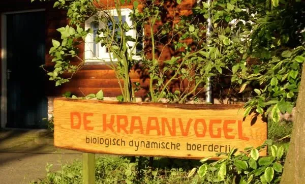 24796323 1588562737865088 4102338040762951871 n