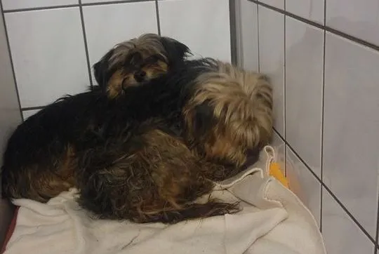 26167075 2127058274184394 5028762817948611582 n