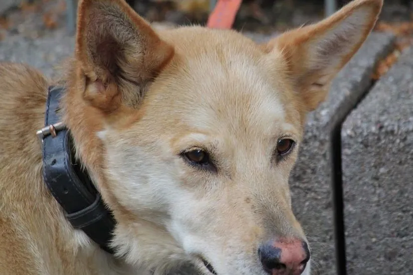 26167337 878832078943445 4841858347888840201 n