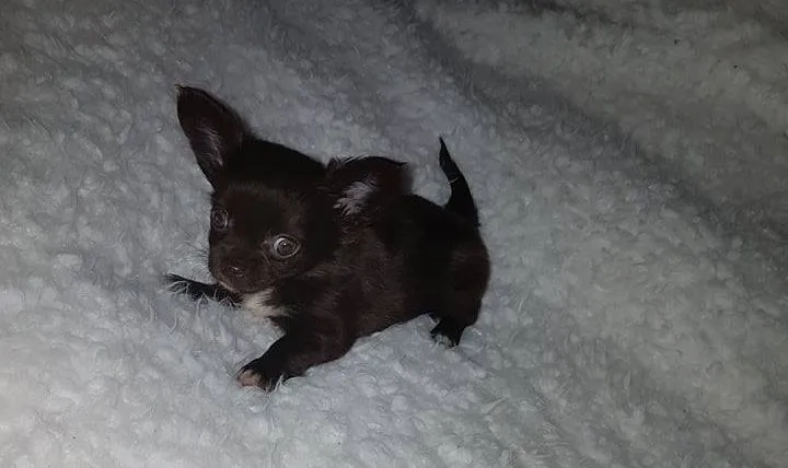 26230232 1997796847102527 2876192335006407330 n