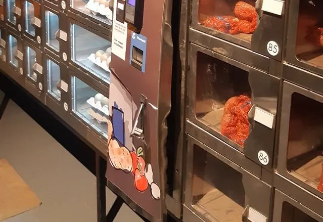 267503464 272756224885604 4435082612346706926 n