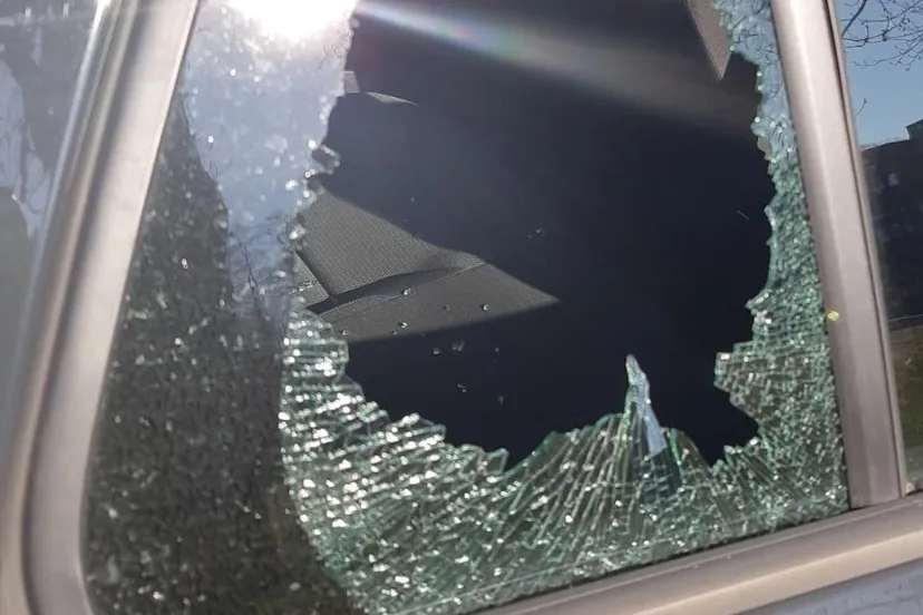 275664843 324192933075266 1667428352874788785 n