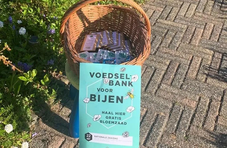 278362733 4888276871280738 5393922769287939264 n