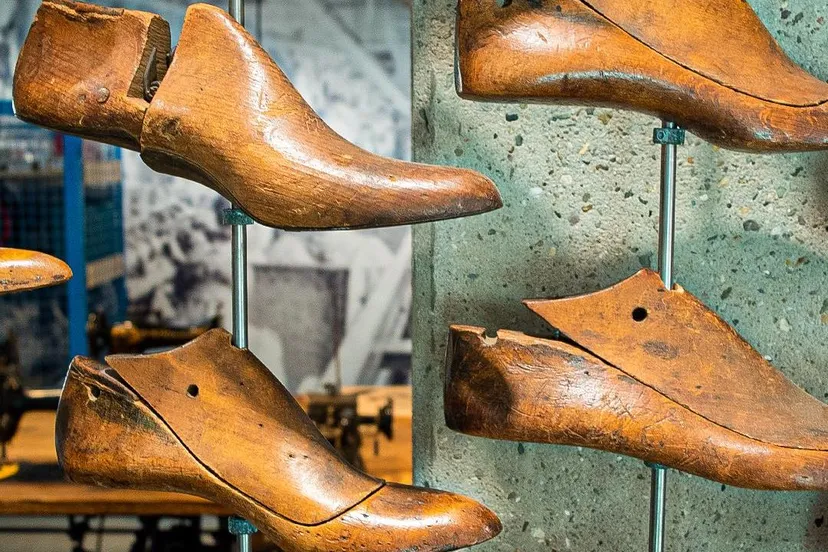 283345725 5171621592918297 4235562999687461045 n