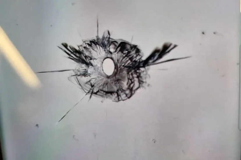 309208085 194936262900921 28995668752182932 n