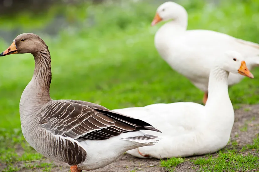 313002653 483199413839338 3225442021212310178 n