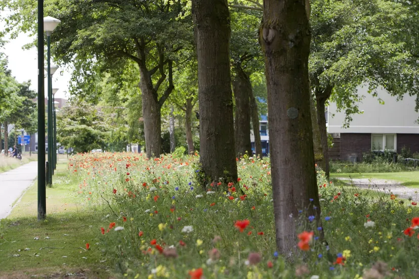 344017076 1318345149027845 2761732775003630945 n