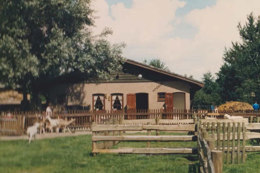 345462846 950484802868997 4592562811381097515 n