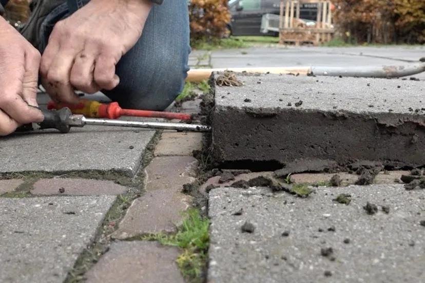 346481088 3532972483650185 1848638169513182012 n