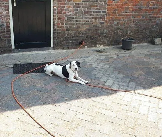 38482641 2068775466718879 2968694816768000000 n