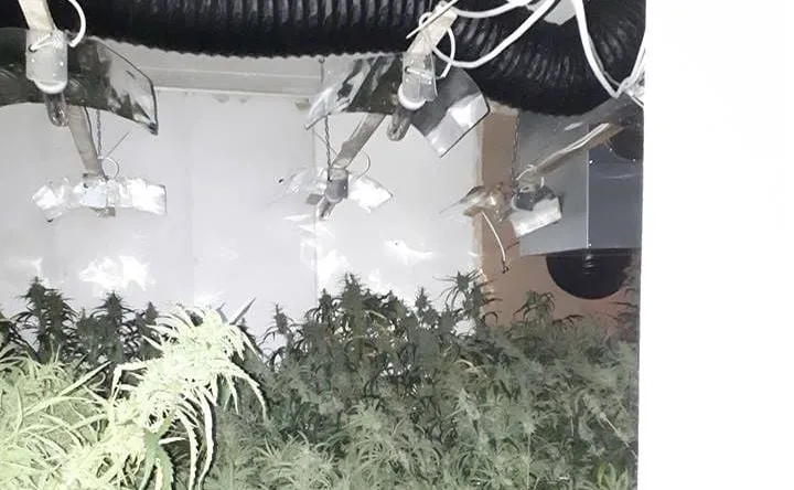 38821357 1629100460552120 3846651754875715584 n