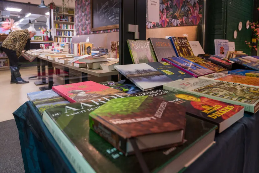 400261555 6715009661939829 198993793920702288 n