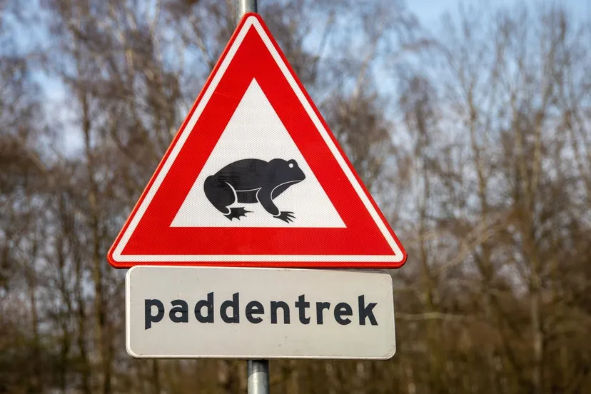 417397323 745467954348613 6181226816575130977 n