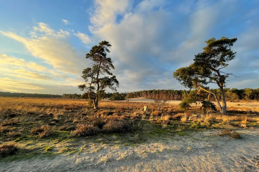 417528224 814095970819144 1990459474643106328 n