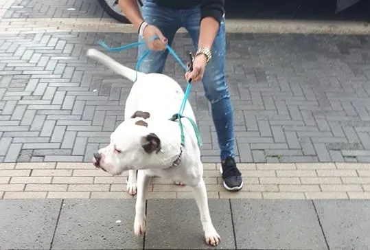 42996095 293130364622907 2439693049358450688 n