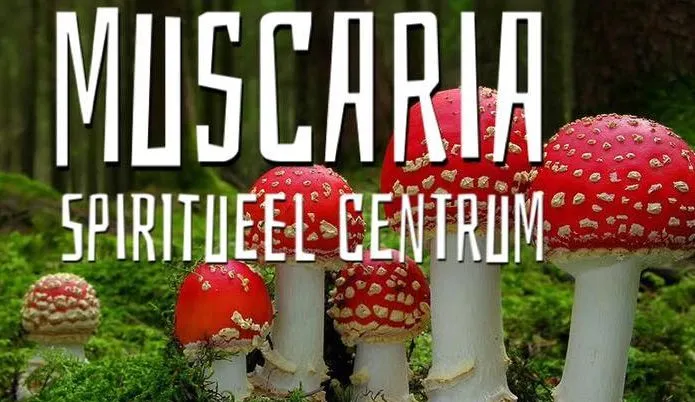 43568026 2202480633365526 6301816079593242624 na