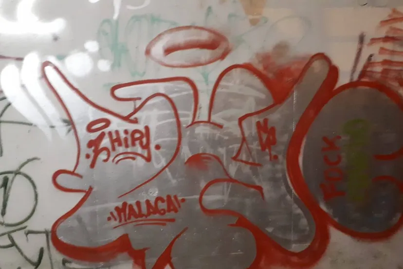 49339037 1823755711086593 648471063046389760 o