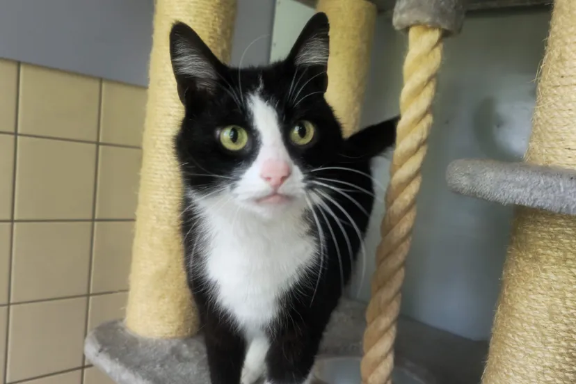 4fd9f053 2114 4a63 b2bf ba2a1ee49408