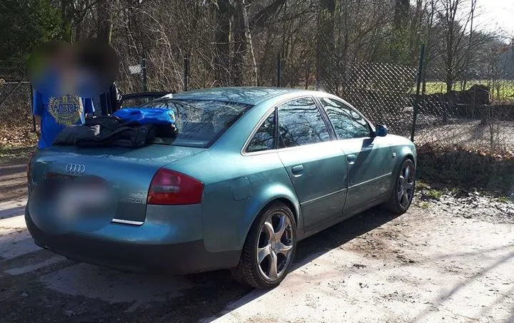 51794121 1891923330936497 7444867152353427456 n