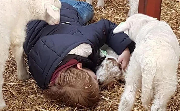 53320732 2226522734073729 8143892866691760128 n