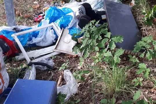 66827280 2117039895091505 6817366335849234432 n