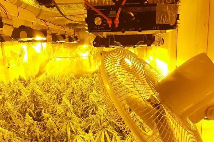 73325024 2861739670621520 5341044984124771541 o