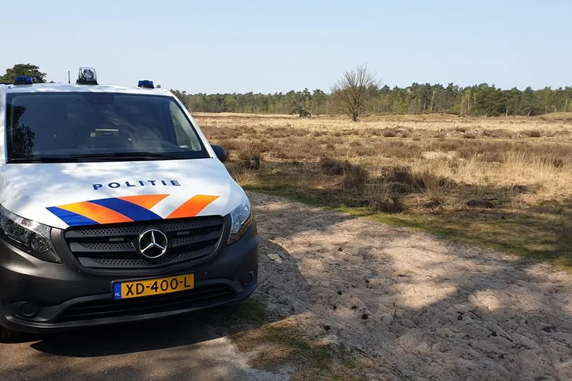 94110019 2694375800691242 6633902993869635584 o