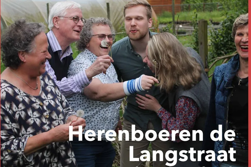 aardpeer paardenbloem