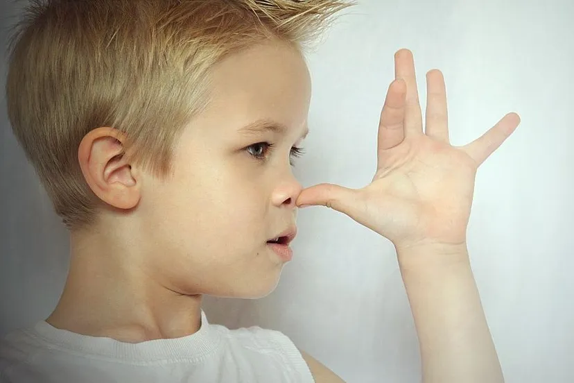 bengel 187697 960 720