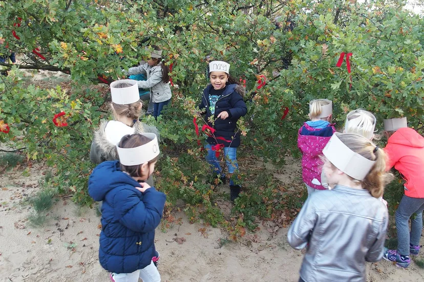 boom versieren met rode linten c ivn brabant
