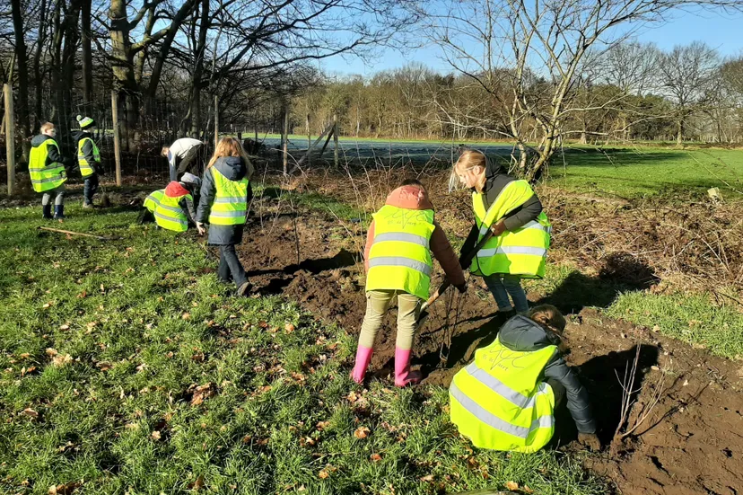 boomplantingjuniper20230207