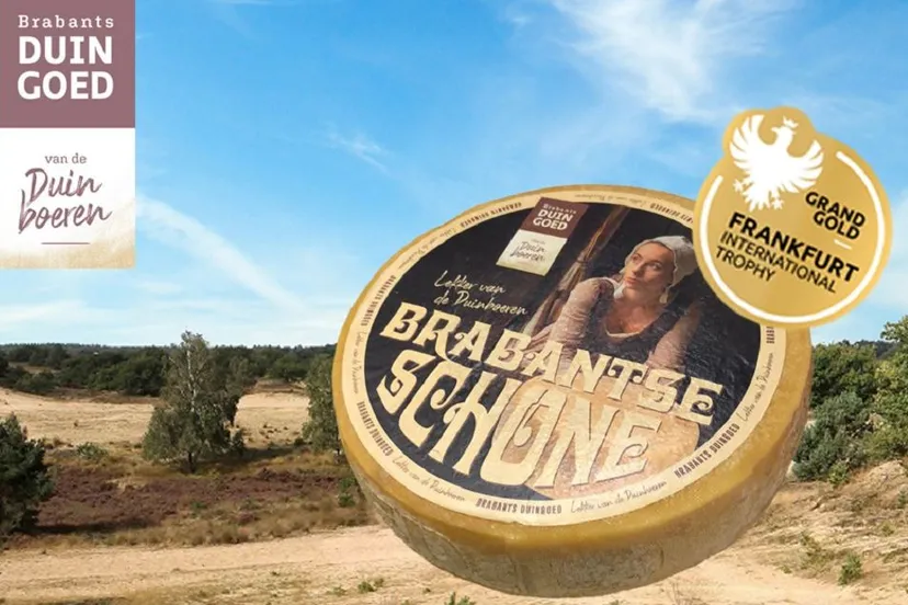 brabantse schone duinen liggend