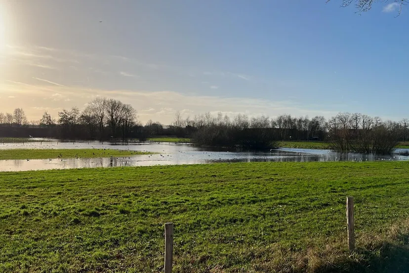 chaamse beek bij ulvenhout