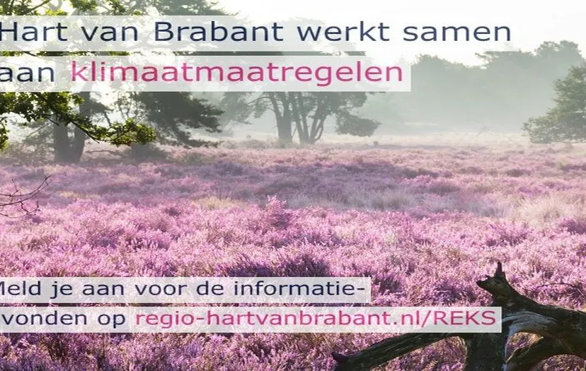 csm 8 reks regionale informatiesessie 6 4723a5fe45