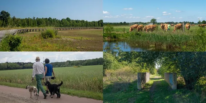 csm pauwelsdag foto2 bc07d456e0