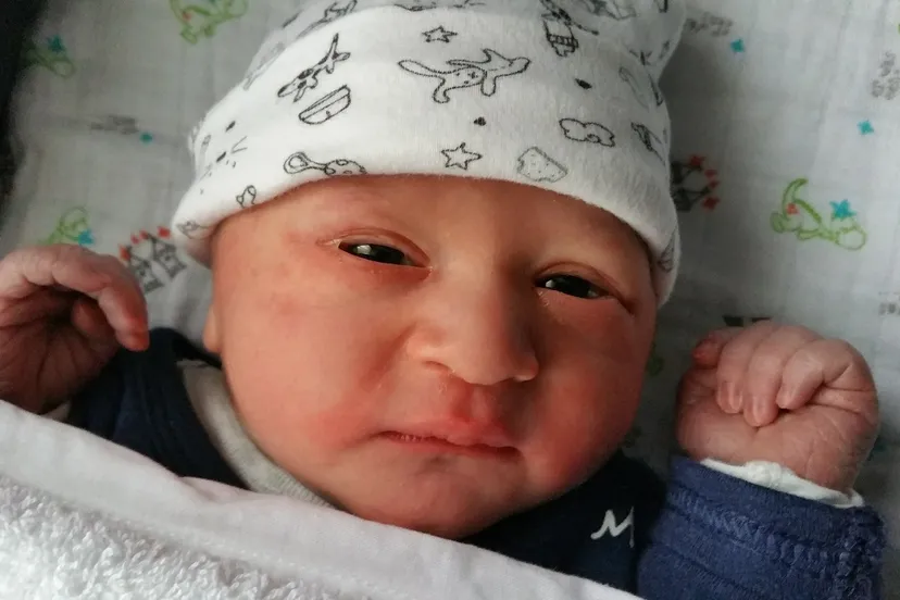 d11059ac fce3 4c83 b862 2a4413ebe727