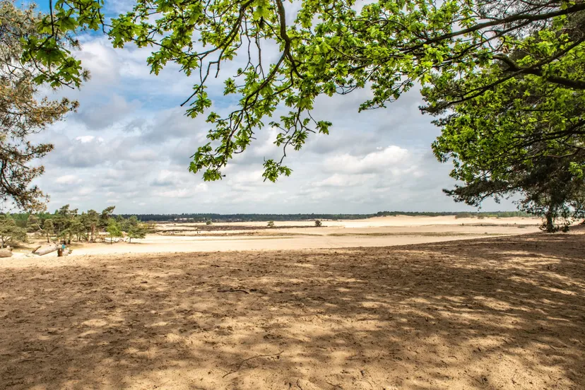 de loonse en drunense duinen uitkijkpunt