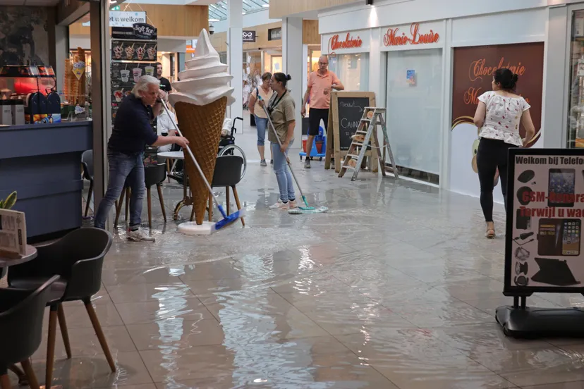 foto 2kopie 3 scaled