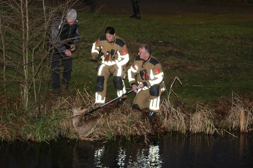 foto 5kopie 1 scaled