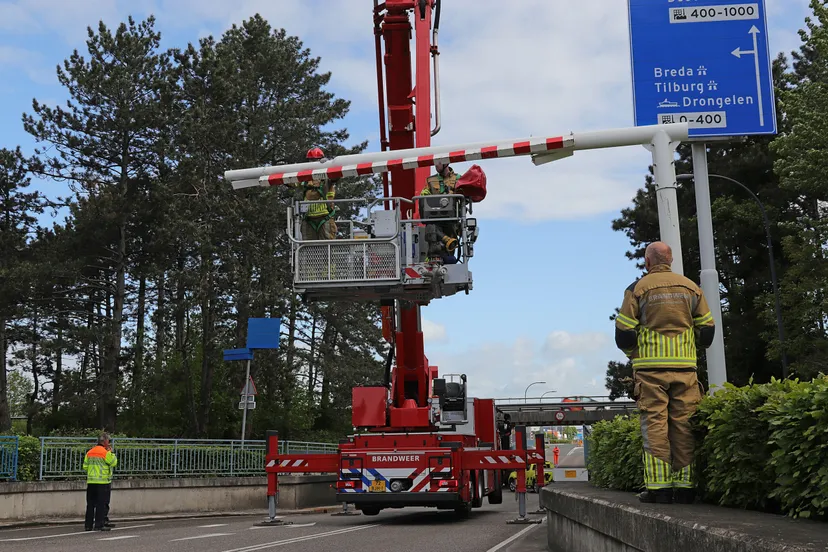 foto 5kopie 3 scaled