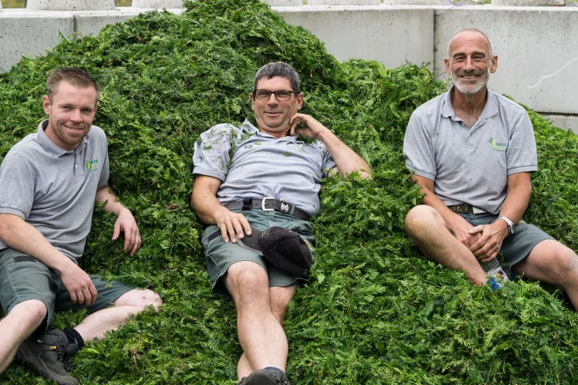 foto voor pb gemeenten